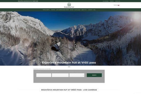 Verkkosivuston kysely