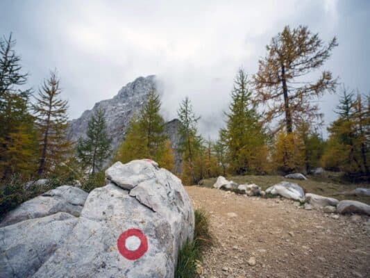 Kallio ja polkumerkki metsä- ja vuoristomaiseman edessä, vaellusreitti Erjavčevan tunturin lähellä, Slovenia.