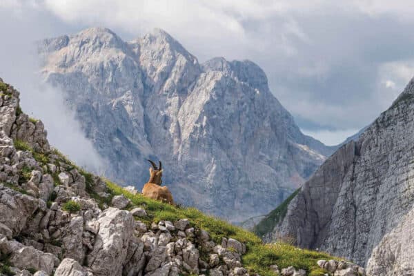 Vuorten joukossa 2026 kalenteri